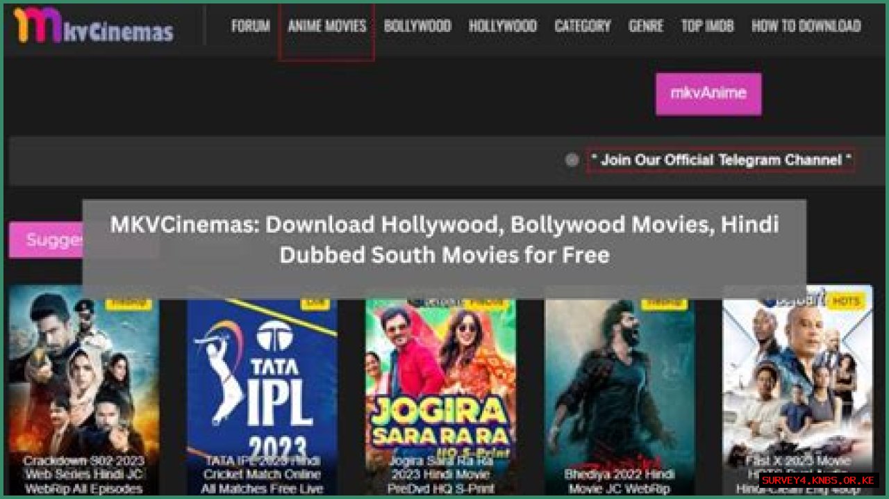 Discovering The World Of Mkvcinemas Live: Your Ultimate Streaming Destination