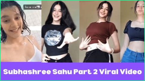Subhashree MMS Video: The Truth Behind The Controversy