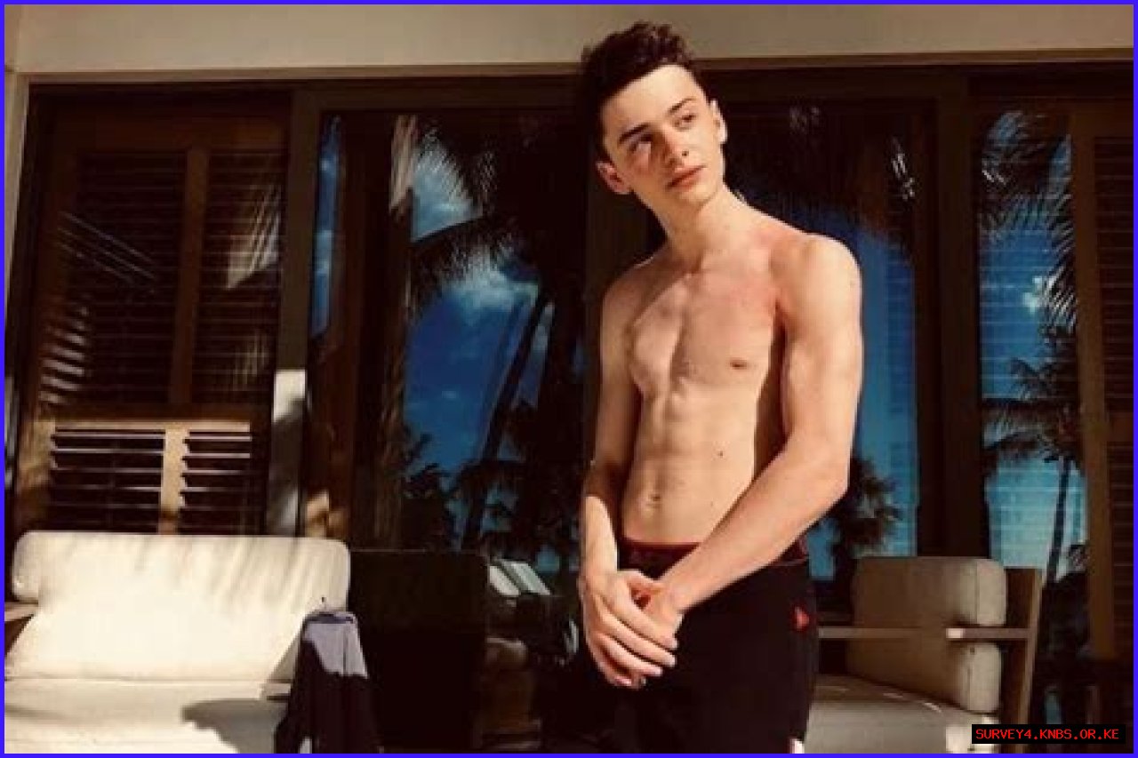 Unveiling The Secrets: Noah Schnapp's Weight, Diet, And Body Image